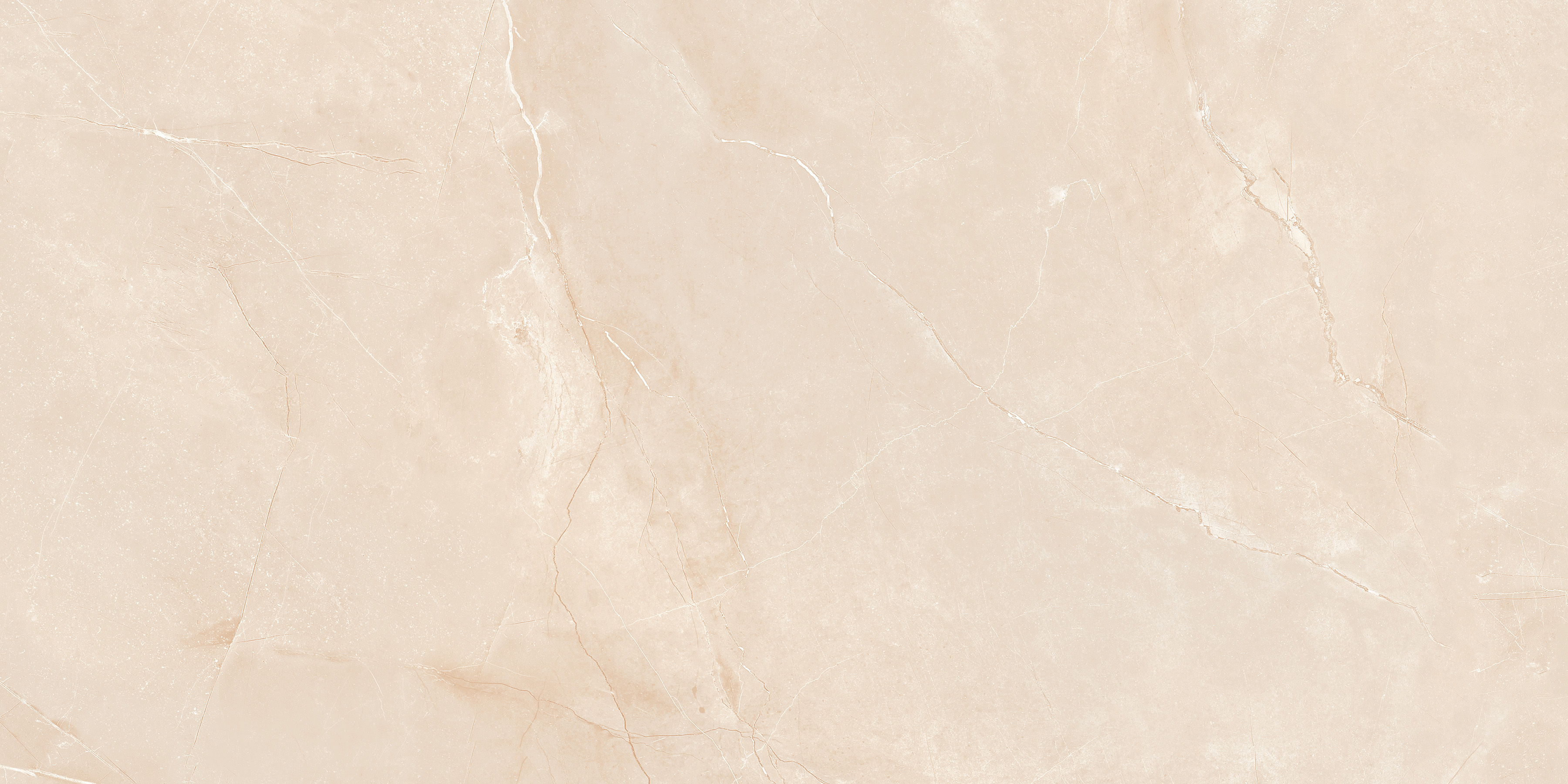 SUN-60120-019